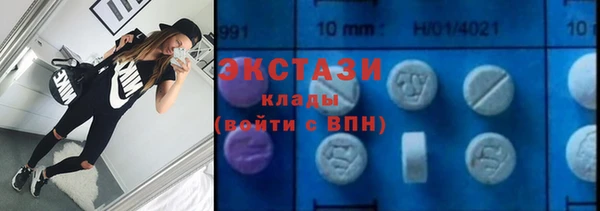 ECSTASY Богородицк