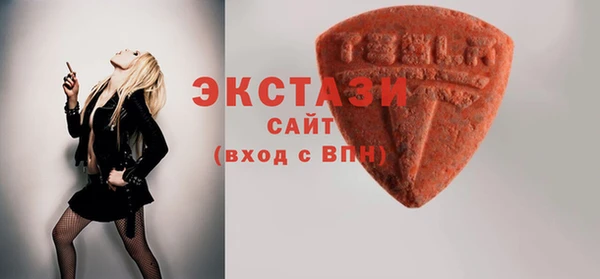 ECSTASY Богородицк
