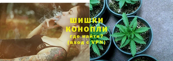 ECSTASY Богородицк