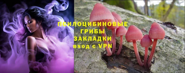ECSTASY Богородицк