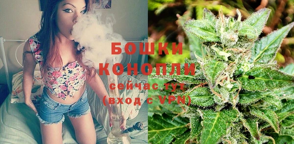 ECSTASY Богородицк