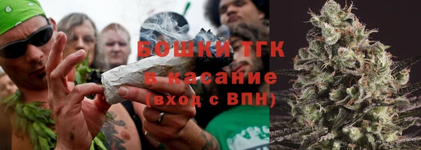 ECSTASY Богородицк