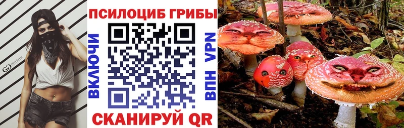 Псилоцибиновые грибы ЛСД  Купить где  Верхняя Салда 